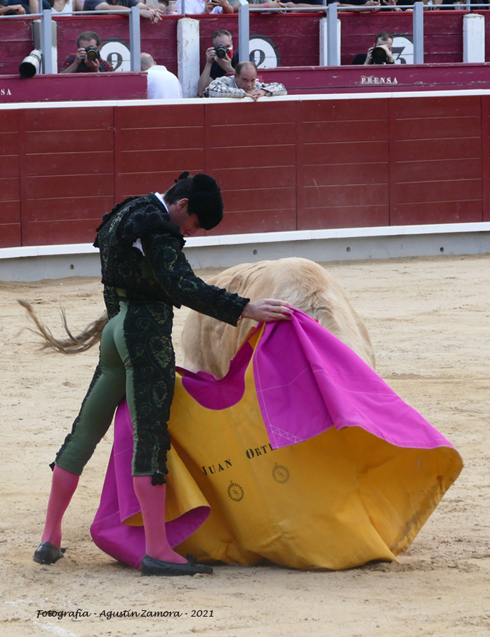 Galería fotográfica Feria Taurina de Albacete 2021. 11 de Septiembre. Fotografía de Agustín Zamora