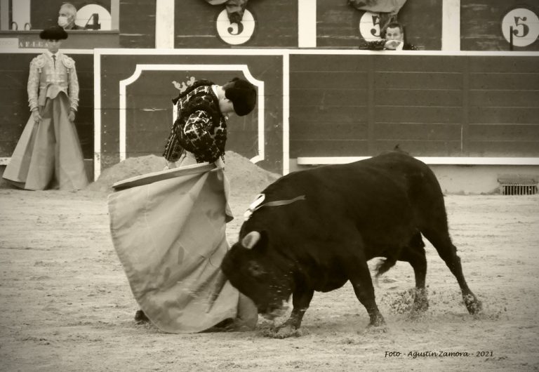 Galería fotográfica Feria Taurina de Albacete 2021. 15 de Septiembre. Fotografía de Agustín Zamora