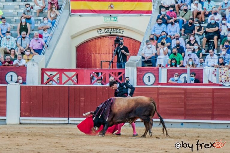 Galería fotográfica Feria Taurina de Albacete 2021. 8 de Septiembre. Fotografía de J.M Fresneda