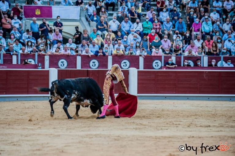 Galería fotográfica Feria Taurina de Albacete 2021. 9 de Septiembre. Fotografía de J.M Fresneda