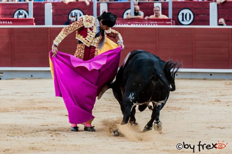 Galería fotográfica Feria Taurina de Albacete 2021. 9 de Septiembre. Fotografía de J.M Fresneda