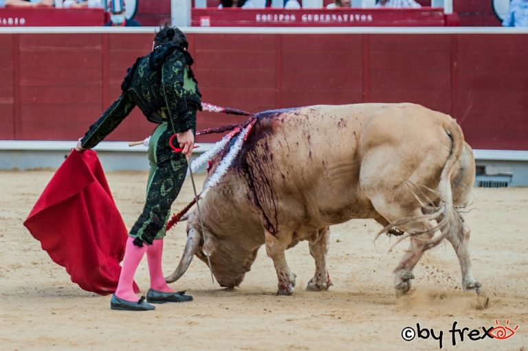 Galería fotográfica Feria Taurina de Albacete 2021. 11 de Septiembre. Fotografía de J.M Fresneda