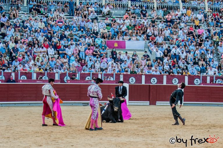 Galería fotográfica Feria Taurina de Albacete 2021. 12 de Septiembre. Fotografía de J.M Fresneda