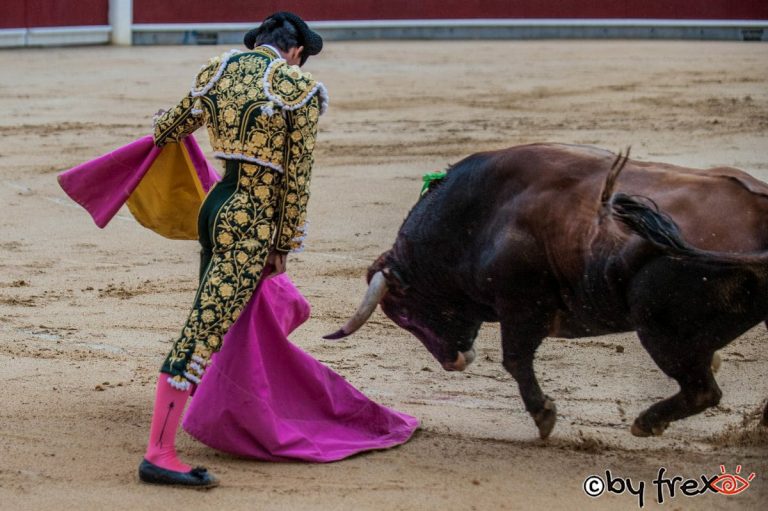 Galería fotográfica Feria Taurina de Albacete 2021. 13 de Septiembre. Fotografía de J.M Fresneda