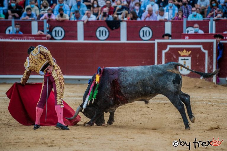 Galería fotográfica Feria Taurina de Albacete 2021. 14 de Septiembre. Fotografía de J.M Fresneda