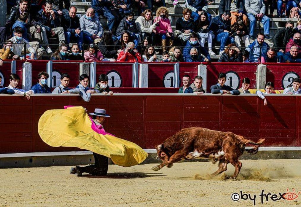 Cinco festejos en junio para apoyar al futuro del toreo en Albacete